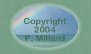 WEBDESIGN