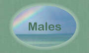 MALES