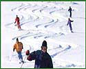 Click Here To See Local Area Attractions