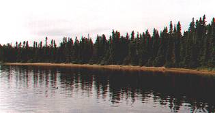 Frost Lake - The Beach