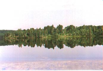 Frost Lake - Reflections