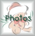 /user/xbfoto.jpg