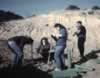 Plantacion 2003