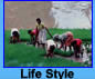 Life Style