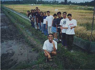 IRRI,Laguna