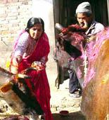 god laxmi which is the god of the wealth