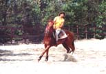 La responsabile a cavallo