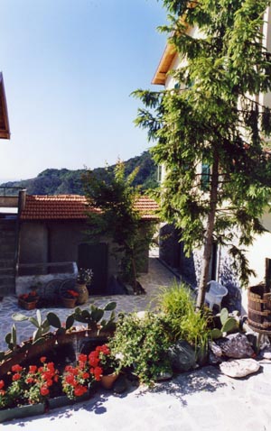 Il cortile con la fontana dei pesci