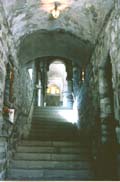 ingresso