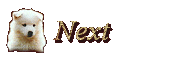 Next