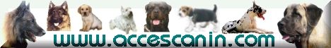 Accescanin.com