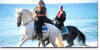 Picture of Horse Riding