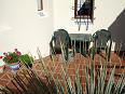 Picture of Front Terrace