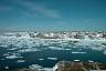Barrd Islands ..Fogo Island