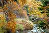 Bowring Park St.John's