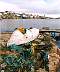 Ggreenspond Bonavista bay