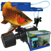 TROPICAL FISHES AND PET ACCESORIES