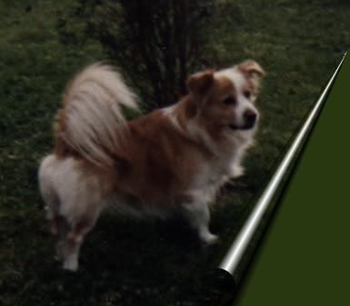 Fidji 1985-1997