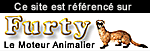 Le moteur animalier!