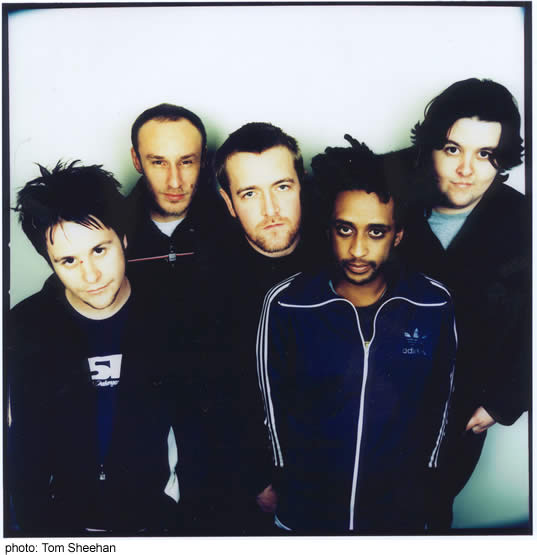 elbow, no, not just a random word, its their name!