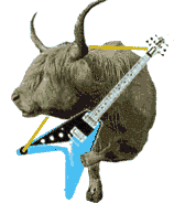 rockin cow!