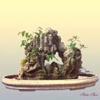 Thi�n Thai