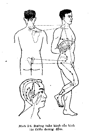 acugallbladder
