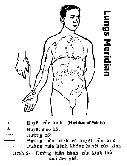 aculinelung