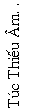 Text Box: T�c Thi�u �m. .