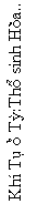 Text Box: Kh� T� � T�:Th� sinh H�a.. 