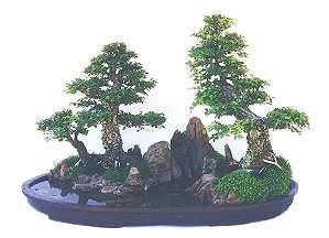 viettieucan3
