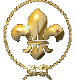 Asociaci&oacute;n Mundial de Boy Scouts