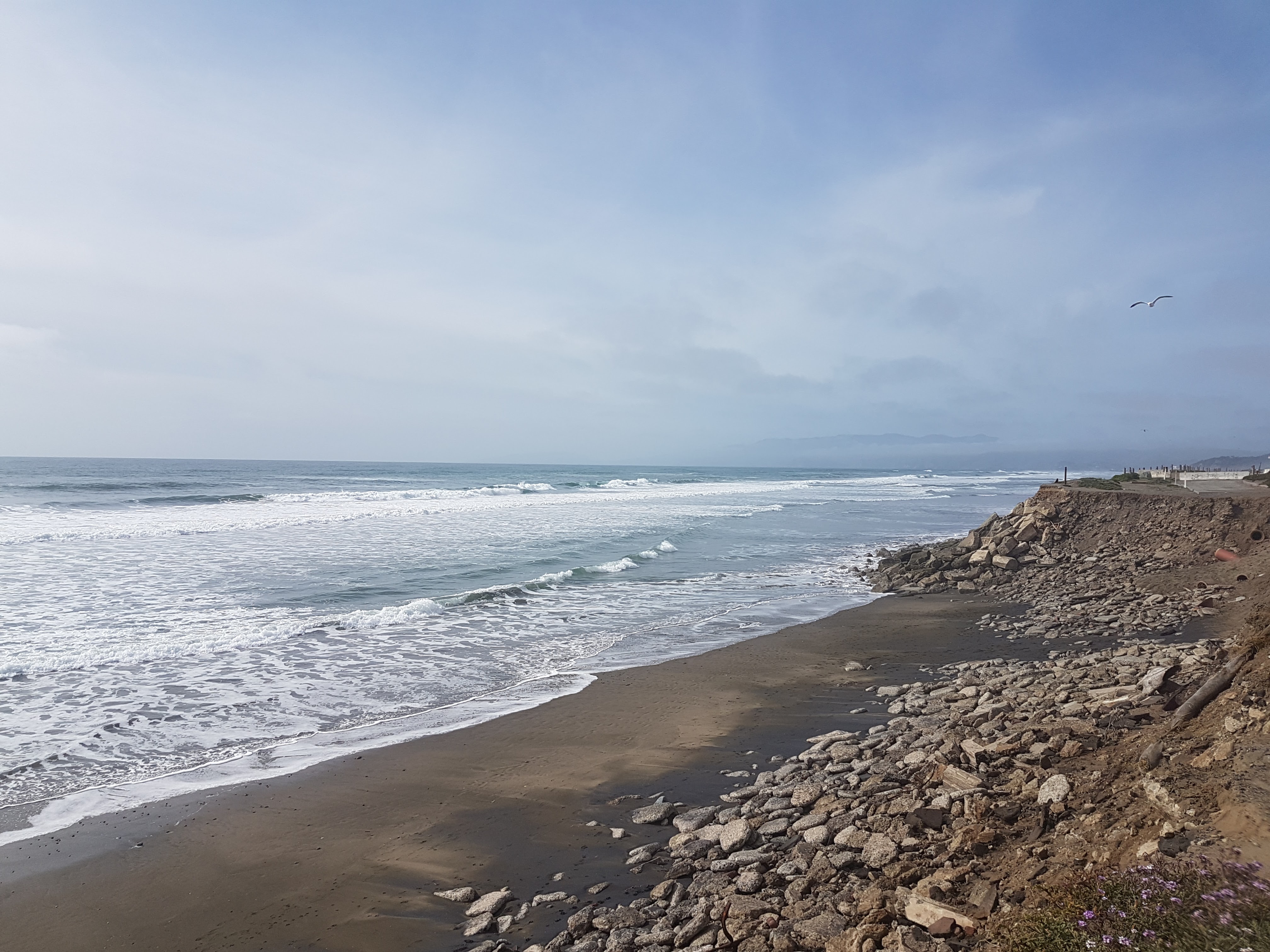 Rocky beach in SF