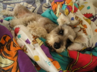 This is my son Tater