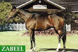 ZABEEL