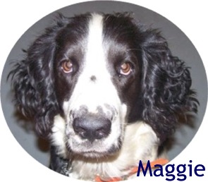 Maggie