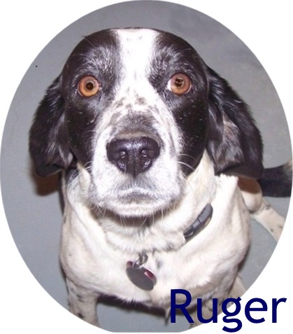 Ruger