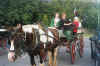 buggykillarney.jpg (73273 bytes)
