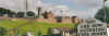 freederry.jpg (38538 bytes)