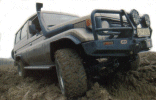 Click here for more about this TLC 75