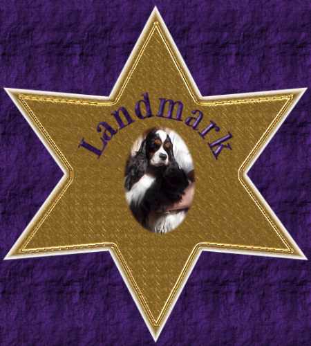 Landmark American Cockers