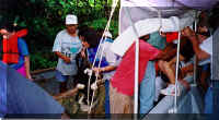 Moving to a smaller 'cayuco'