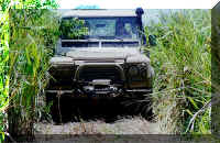 Through our "African Trails"