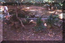 This is a locomotive from a mine that was left on a river bed