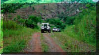 Nice trails!