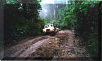 Ruts were the order of the day