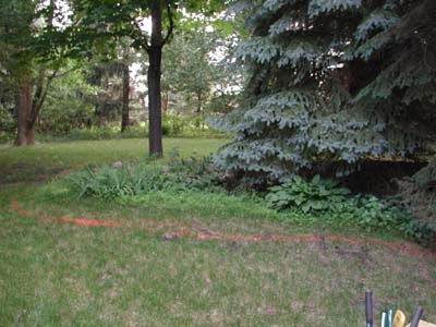 Before_Image
