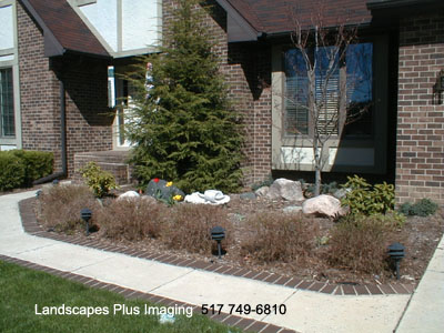 Before_Image