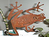 TREE_FROG_STAKE