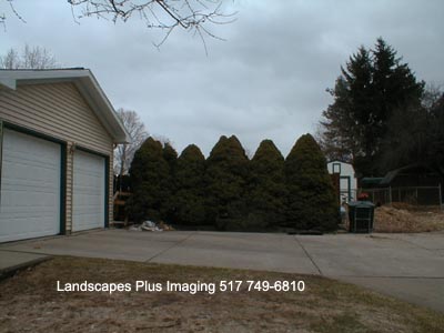 Before_Image